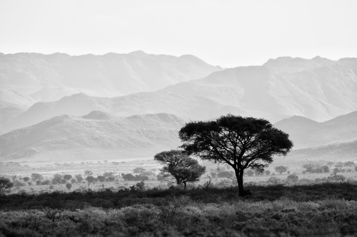 Titelbild Namibia Website